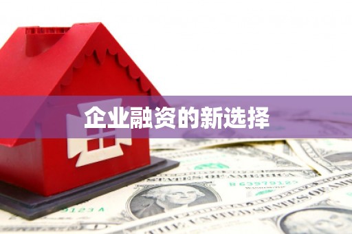 安定企业融资的新选择