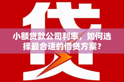 安定小额贷款公司利率，如何选择最合适的借贷方案？
