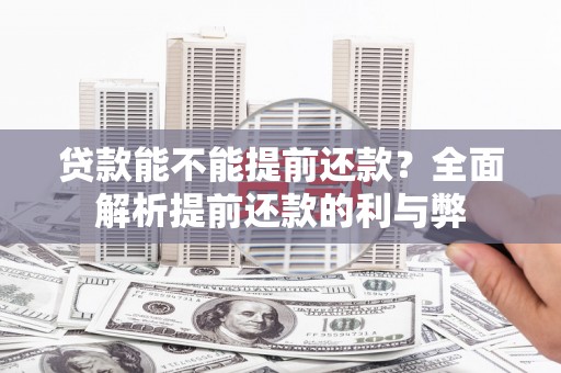 安定贷款能不能提前还款？全面解析提前还款的利与弊