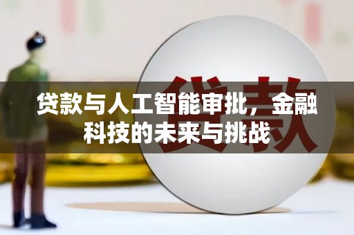 安定贷款与人工智能审批，金融科技的未来与挑战