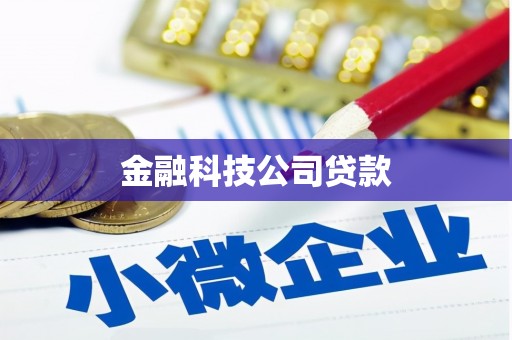 安定金融科技公司贷款