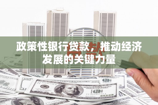 安定政策性银行贷款，推动经济发展的关键力量