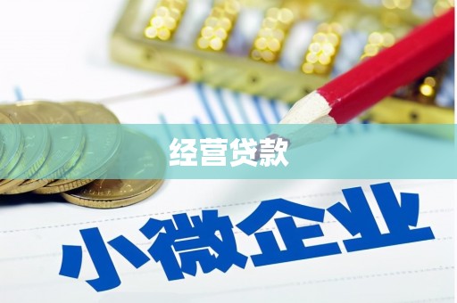 安定经营贷款