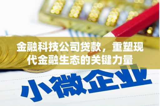 安定金融科技公司贷款，重塑现代金融生态的关键力量