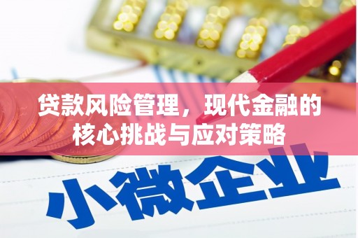 安定贷款风险管理，现代金融的核心挑战与应对策略