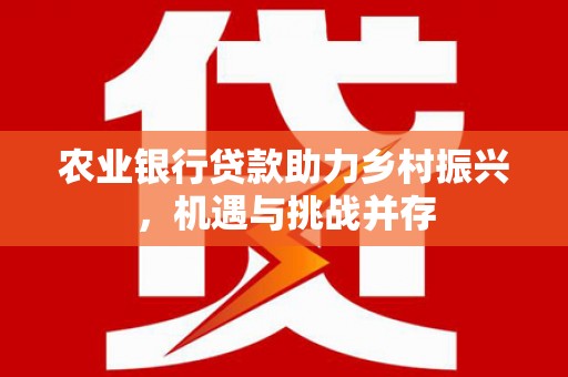安定农业银行贷款助力乡村振兴，机遇与挑战并存
