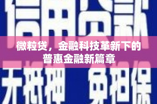 安定微粒贷，金融科技革新下的普惠金融新篇章