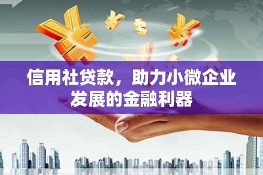 安定信用社贷款，助力小微企业发展的金融利器