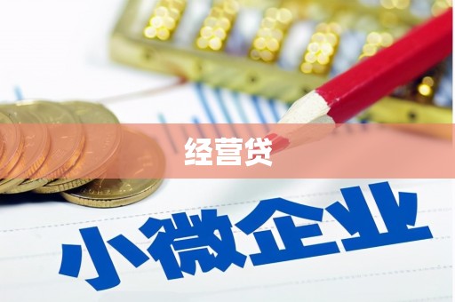 安定经营贷