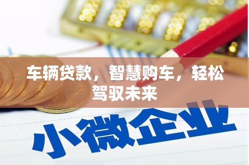 安定车辆贷款，智慧购车，轻松驾驭未来
