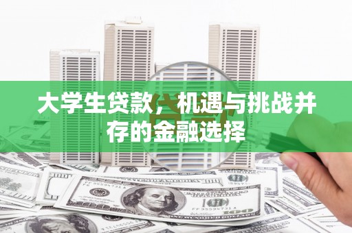 安定大学生贷款，机遇与挑战并存的金融选择