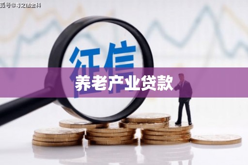 安定养老产业贷款