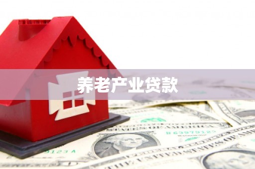 安定养老产业贷款