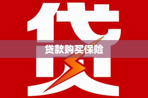 安定贷款购买保险