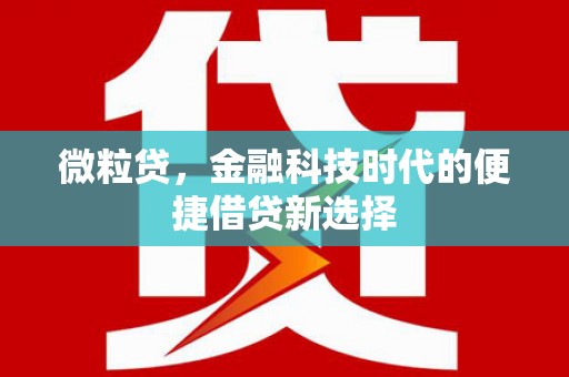 安定微粒贷，金融科技时代的便捷借贷新选择