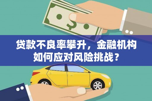 安定贷款不良率攀升，金融机构如何应对风险挑战？