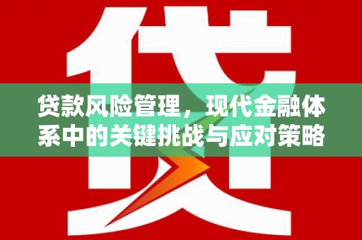 安定贷款风险管理，现代金融体系中的关键挑战与应对策略