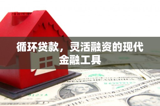 安定循环贷款，灵活融资的现代金融工具