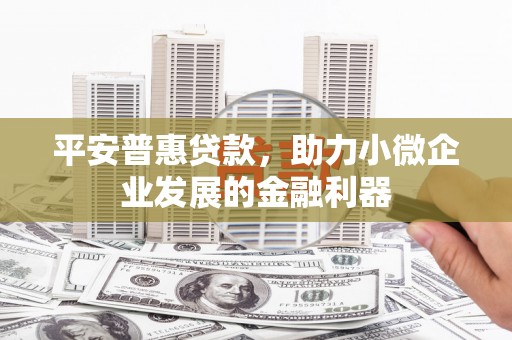 安定平安普惠贷款，助力小微企业发展的金融利器
