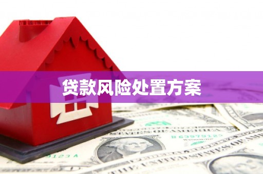 安定贷款风险处置方案