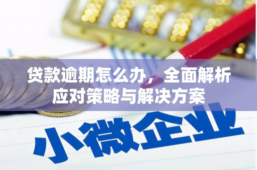 安定贷款逾期怎么办，全面解析应对策略与解决方案