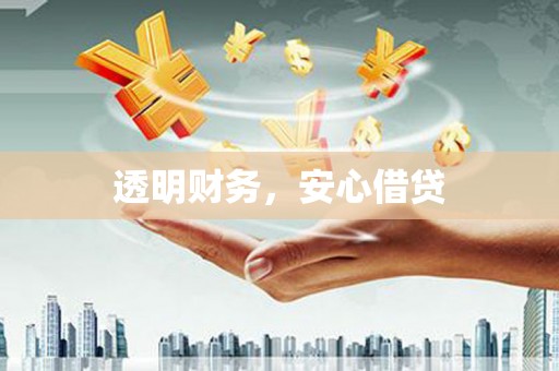 安定透明财务，安心借贷