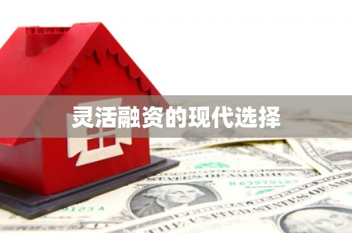安定灵活融资的现代选择