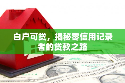 安定白户可贷，揭秘零信用记录者的贷款之路