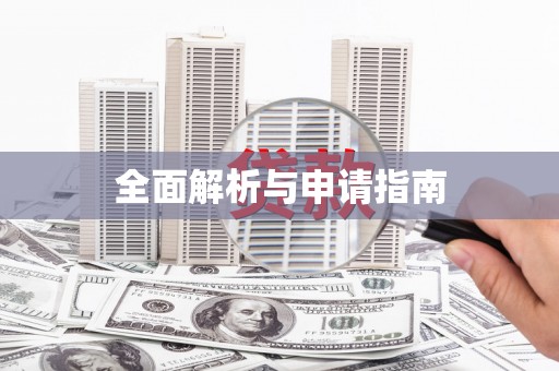 安定全面解析与申请指南