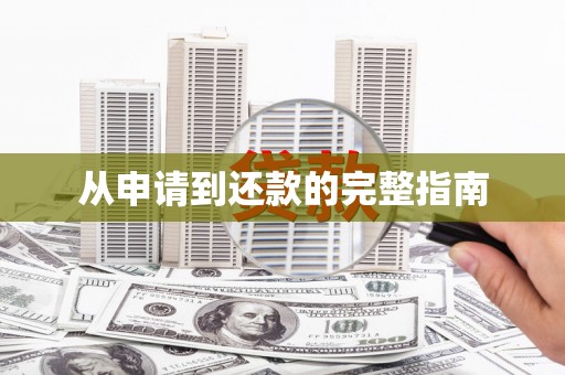 安定从申请到还款的完整指南