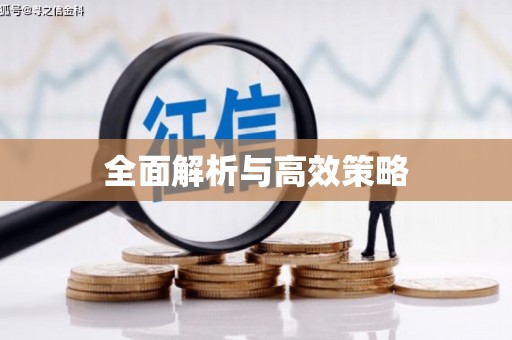 安定全面解析与高效策略