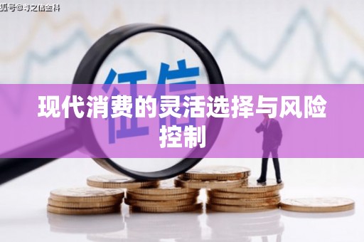 安定现代消费的灵活选择与风险控制
