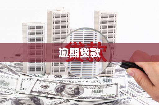 安定逾期贷款