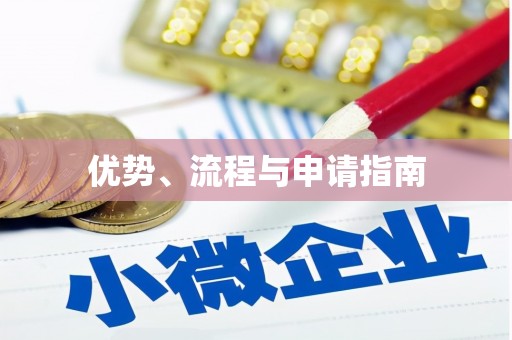 安定优势、流程与申请指南