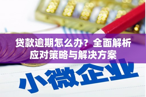 安定贷款逾期怎么办？全面解析应对策略与解决方案
