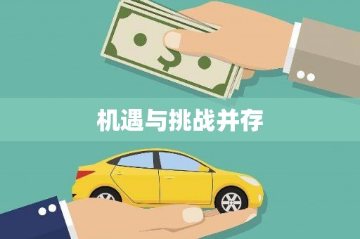 安定机遇与挑战并存