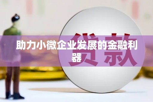 安定助力小微企业发展的金融利器