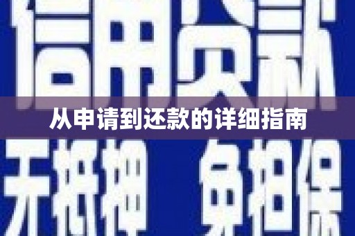 安定从申请到还款的详细指南