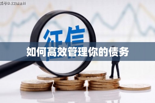 安定如何高效管理你的债务