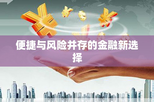 安定便捷与风险并存的金融新选择
