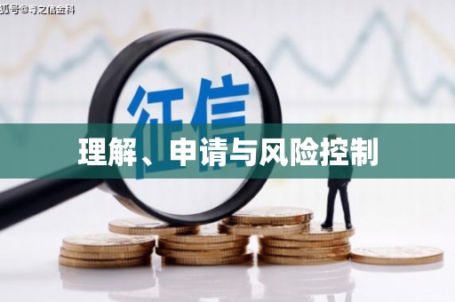 安定理解、申请与风险控制
