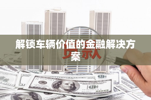 安定解锁车辆价值的金融解决方案