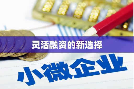 安定灵活融资的新选择