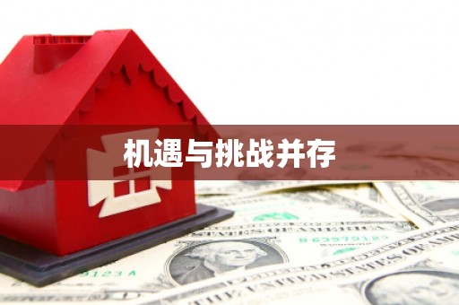 安定机遇与挑战并存