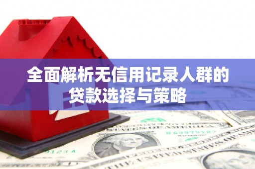 安定全面解析无信用记录人群的贷款选择与策略