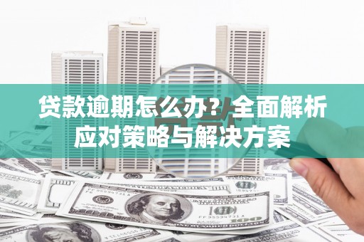 安定贷款逾期怎么办？全面解析应对策略与解决方案