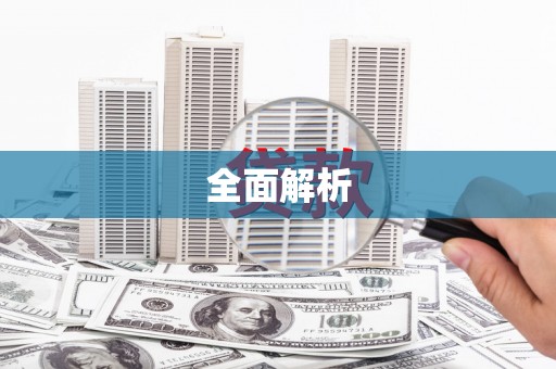 安定全面解析