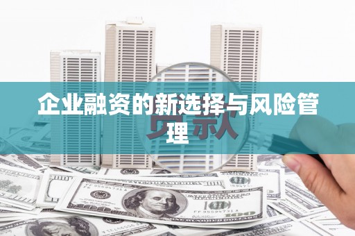 安定企业融资的新选择与风险管理