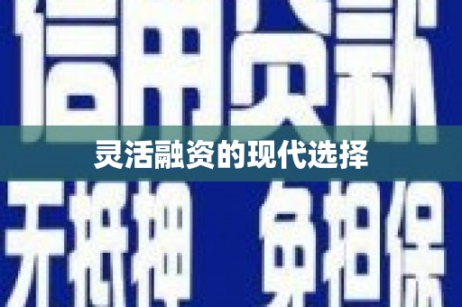 安定灵活融资的现代选择