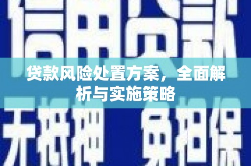 安定贷款风险处置方案，全面解析与实施策略